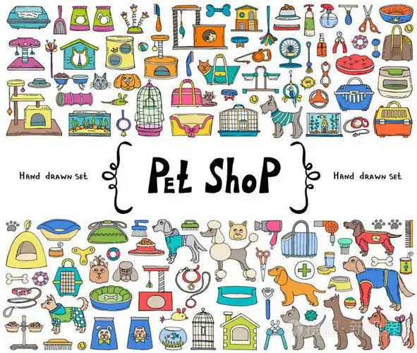 矢量集用手绘制孤立彩色的涂鸦为主题的宠物店.用于设计草图