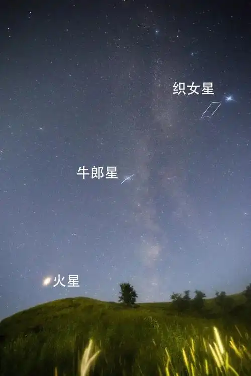 七夕之夜 台湾杨昌炽老师与淄博天爱一起学认牛郎织女星