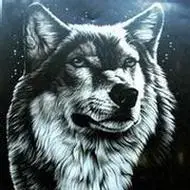 狼头像图片大全霸气恐怖的高清狼头像图片