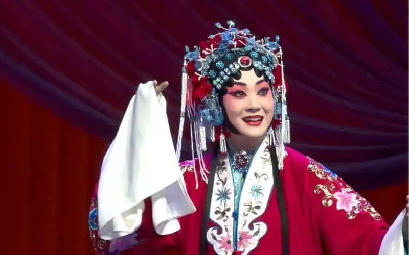 【京剧|杨门女将】宗保寿辰心欢畅 王艳 成都演出