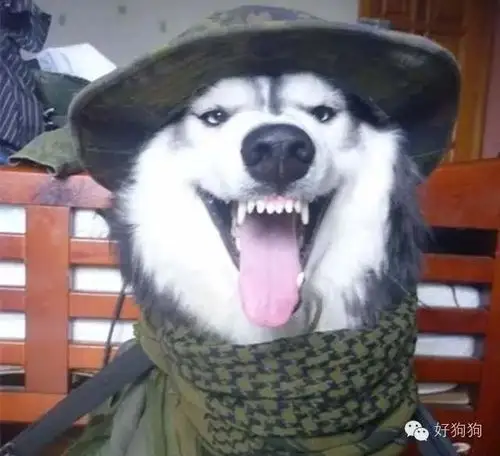 开心的时候就大笑,笑到得意忘形又怎么样,不开心的时候就嗤之以鼻,你