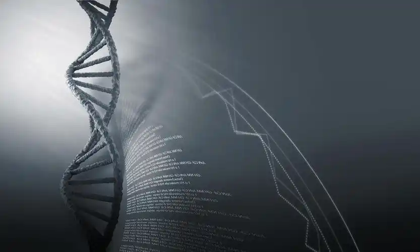 与高科技的 dna 分子生物化学背景