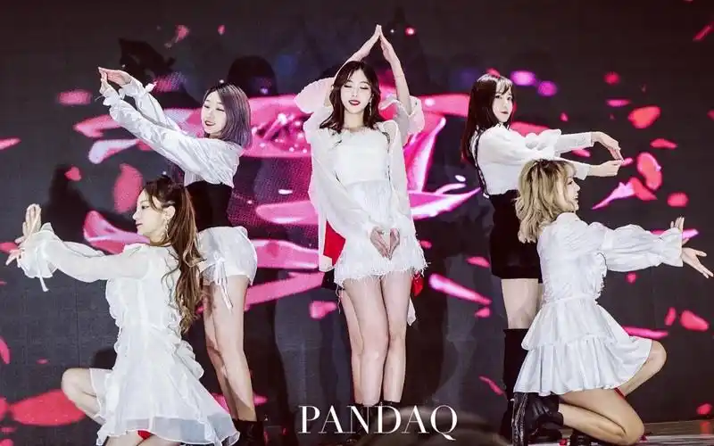 【pandaq】上海颜值团超美《la vie en rose》翻跳现场(mama ver.