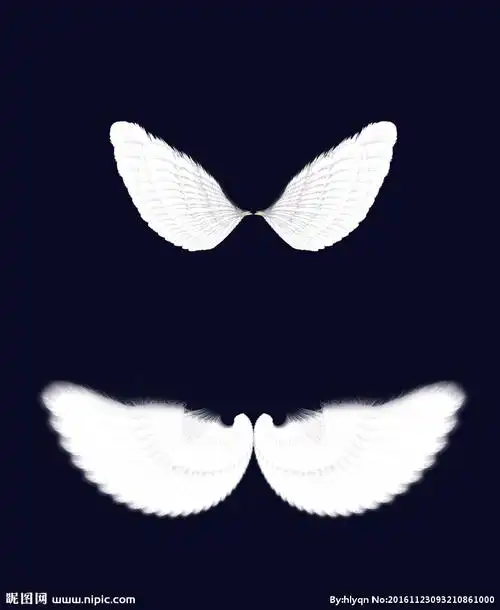 白色翅膀图片