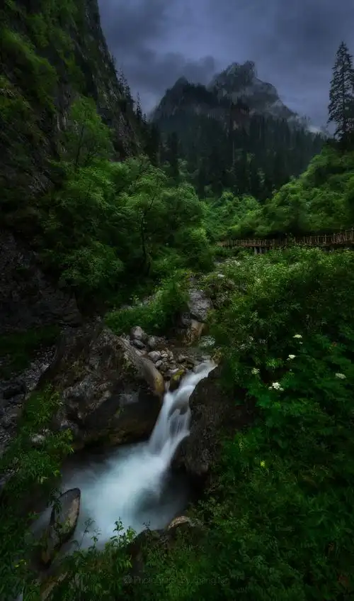 深山老林之中的小溪流