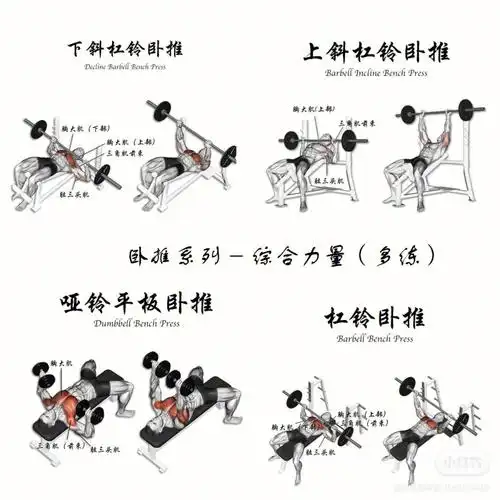 最全健身房练胸动作