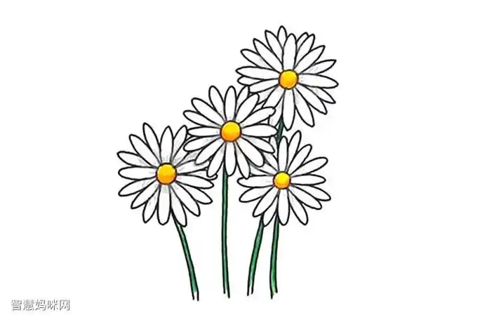 简笔画清明节画束菊花寄相思雏菊简笔画画法