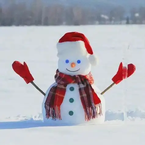 超喜欢的雪人头像