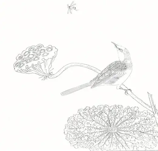 宋代小品花鸟白描稿分享