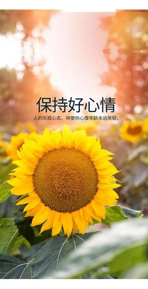 今天又是个好日子,请欣赏好心情美图,交个朋友