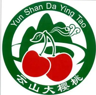 云山大樱桃