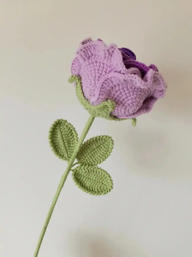 巨无霸泰国玫瑰get√#我的手工作品 #手工编织花束 #钩针 - 抖音