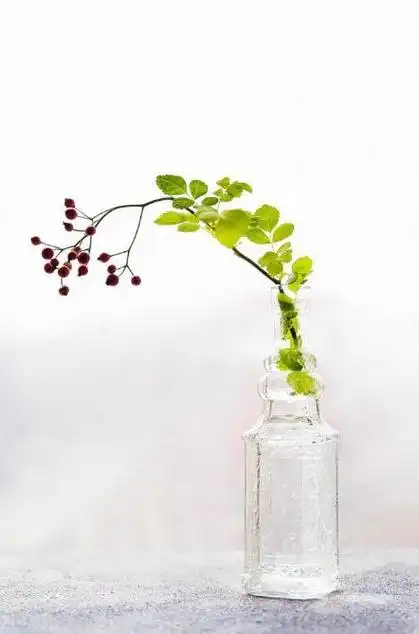 干净透彻极致的图片,唯美意境图片清新淡雅