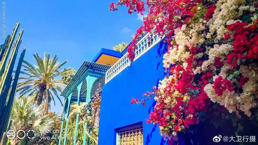 摩洛哥是一个充满神秘感的地方,自从免签开放以后