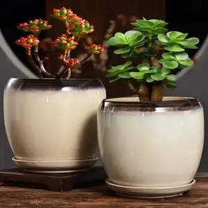 大的花盆陶瓷图片