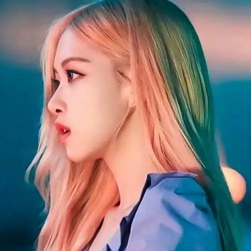 朴彩英侧颜可二改