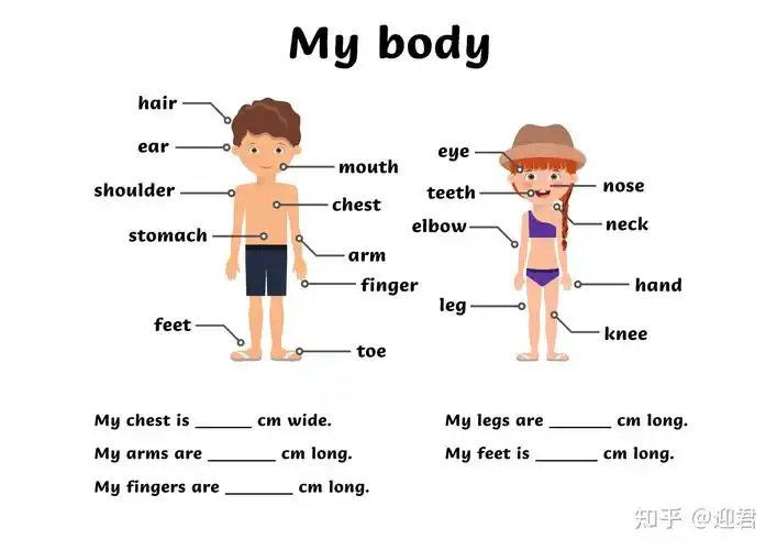 亲子英语课堂不想错过孩子成长只需一份身体记录表就可记下孩子的点滴