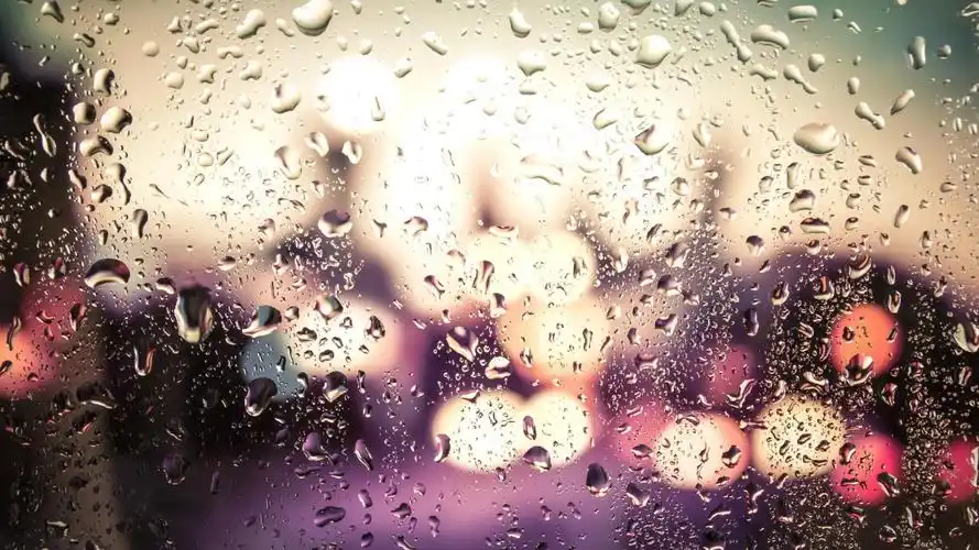 玻璃窗外的霓虹壁纸