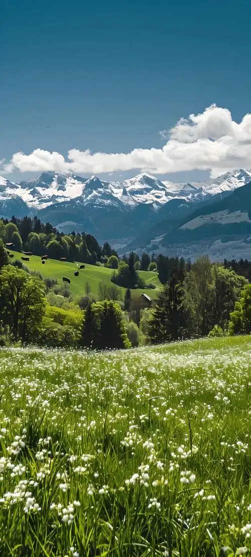 手机壁纸绝美风景壁纸1电量也要换上
