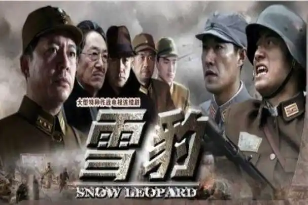论《雪豹》这部剧中你最恨谁?这个角色你应该记得,喜欢他吗?