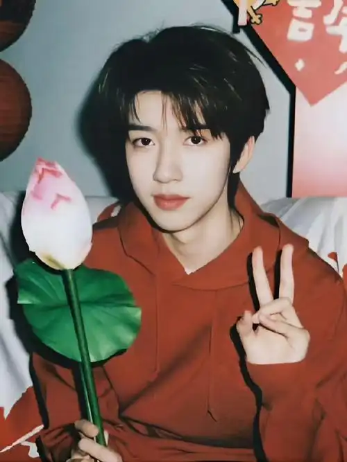 这是我的岛##贺峻霖##贺峻霖粉丝