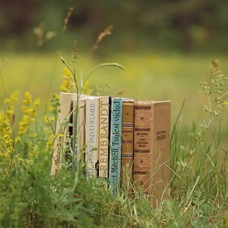 唯美整洁书本图片