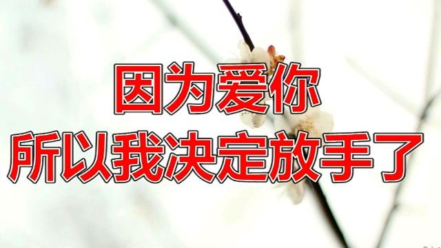 因为爱你,所以我决定放手了!(看完想哭)