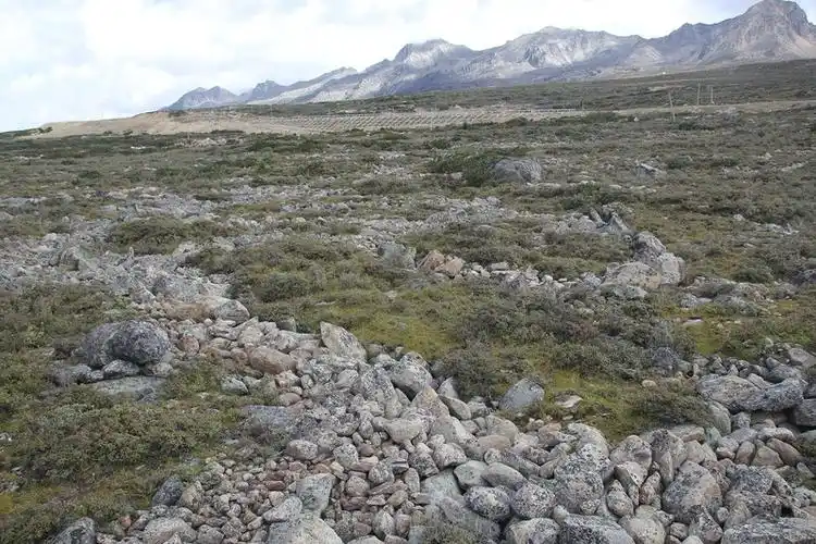从青藏高原到北极甚至火星地表这些神秘的图案从何而来