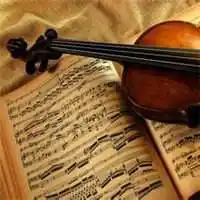 小提琴头像唯美图片点击鼠标右键下载