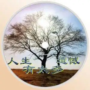 人生有太多遗憾伴奏伴奏