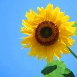 带太阳和花的微信头像 微信头像图片大全 -【爱个性】