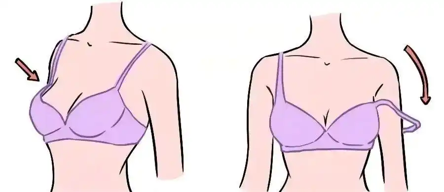 胸的大小排名(12星座胸大小排名)-我的快乐小窝