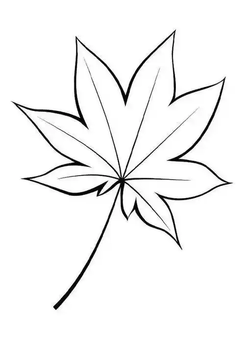 枫叶简笔画 枫叶简笔画简单又好看
