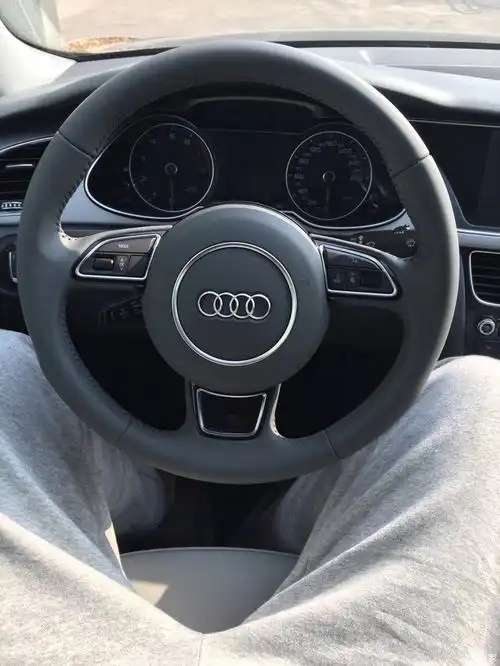 【图】开车时气味很大_奥迪a4l论坛_汽车之家论坛