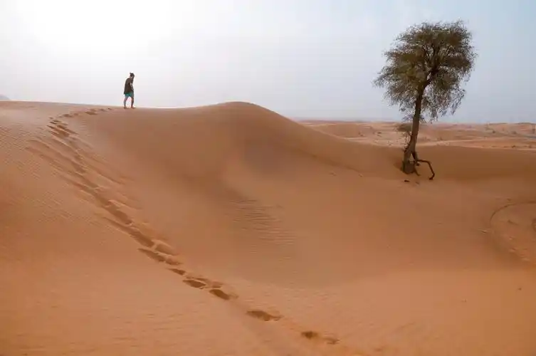 图片素材70幅关于孤独沙漠的精致图片