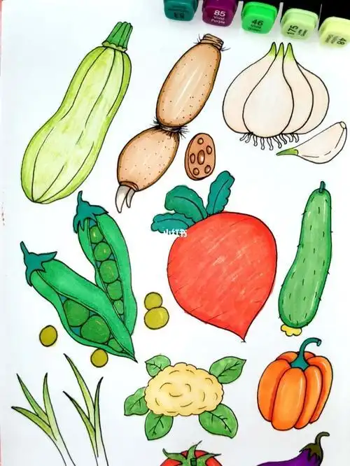 蔬菜儿童简笔画