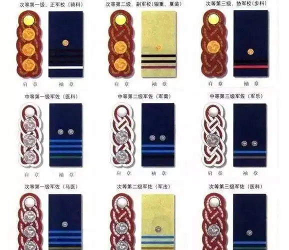 大礼服肩章:(喜闻乐见的流苏)军官礼服:陆军兵种色:陆军帽徽陆军军衔