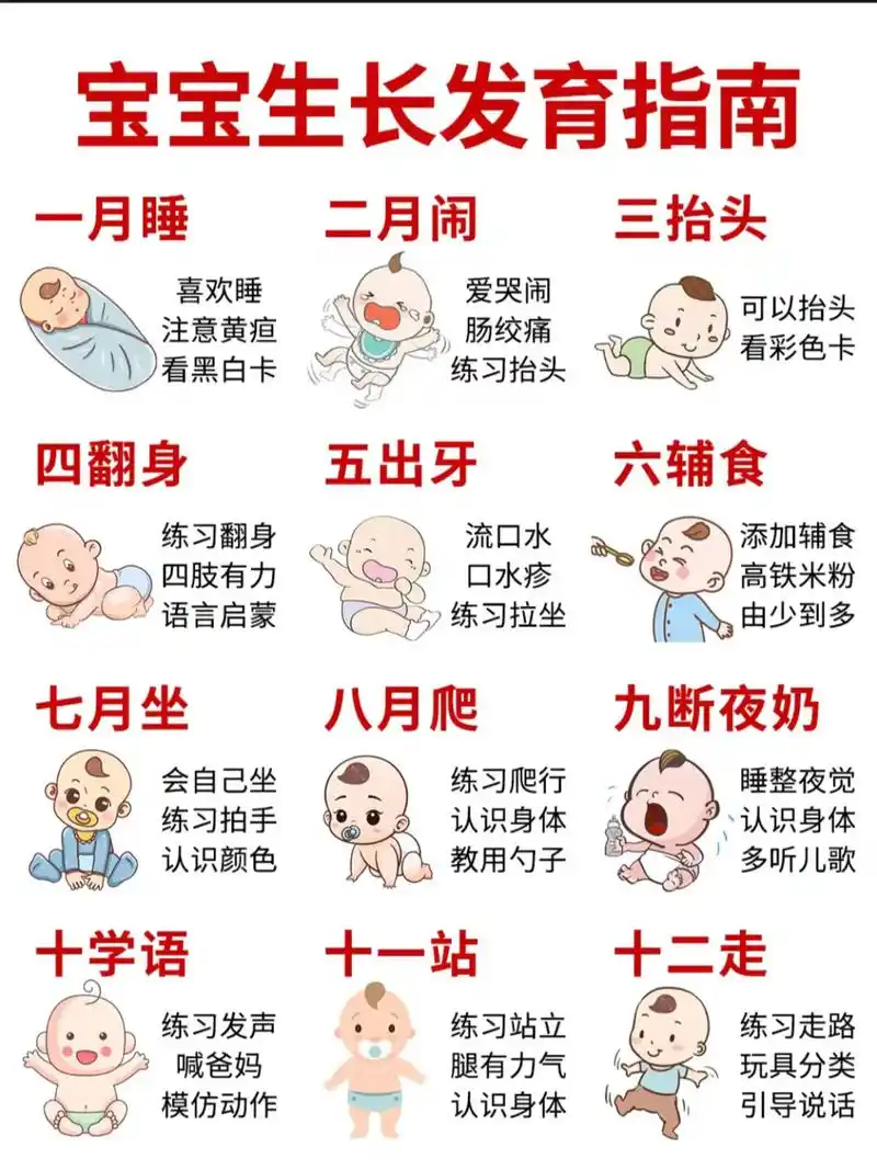 0-12月宝宝生长发育指南.96每月护理注意事项: 新手爸爸 - 抖音