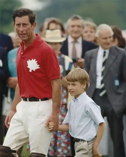 1990年6月哈里王子也诞生了成为两个孩子的父亲的查尔斯王子.