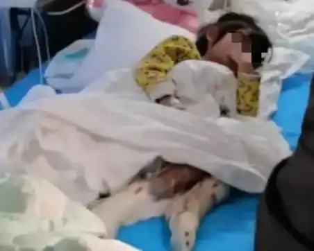 回顾苏丽,热油灌嘴针线缝口,栓狗链长大,遭生母虐杀后还被掘坟