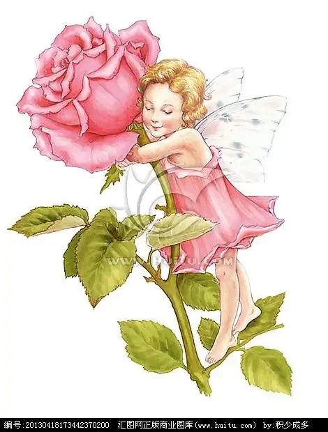 玫瑰仙子小精灵