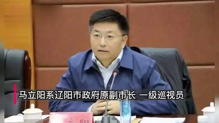 辽宁省检察机关决定逮捕马立阳,冷厚堂 均涉受贿罪