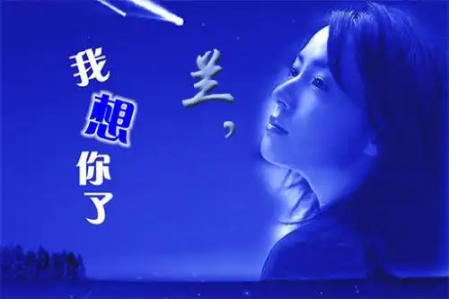 帮我制作一张"兰,我想你了"的图片