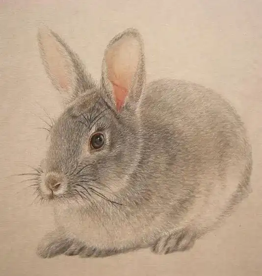 工笔国画动物,纯手绘  - 抖音