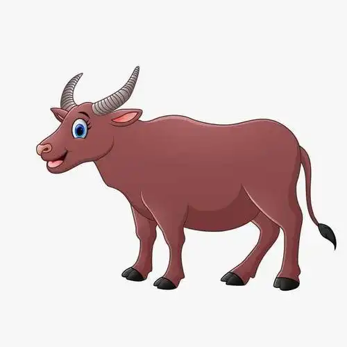 我家是个"动物园"