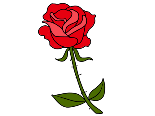 玫瑰花简笔画图片