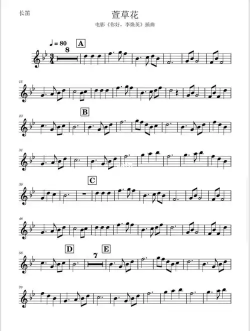 萱草花乐谱分享