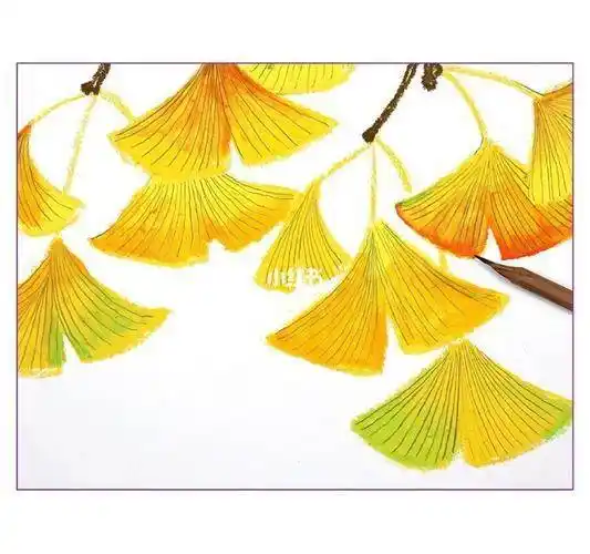 银杏树简笔画 银杏树简笔画步骤