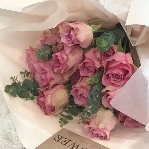 朋友圈背景图 手机壁纸 鲜花 意境图片 ins风简约风格