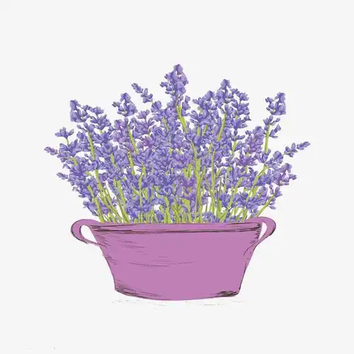 卡通薰衣草免扣素材